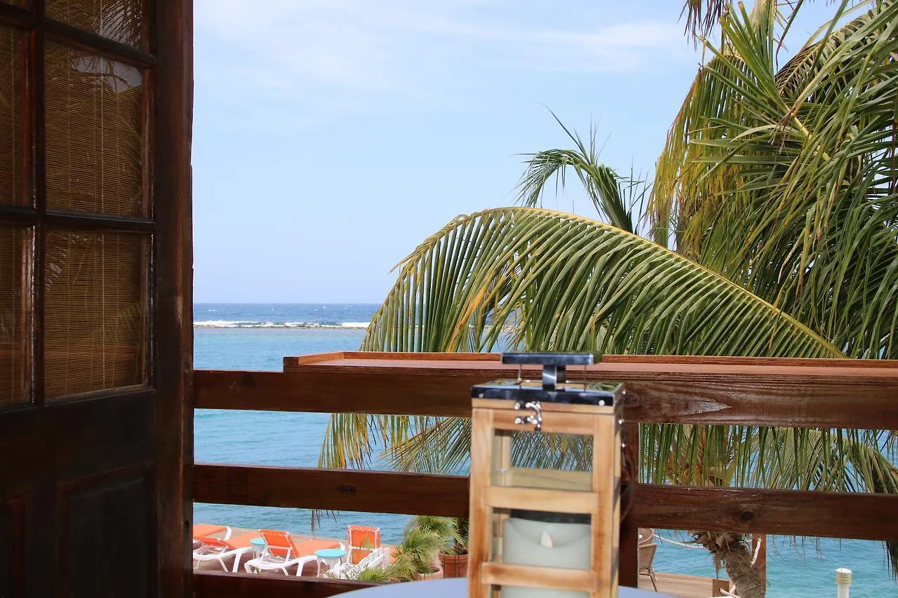 Coral Reef Beach Savaneta Aruba