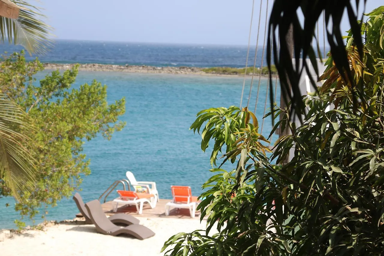 Coral Reef Beach Savaneta 3*,  Aruba