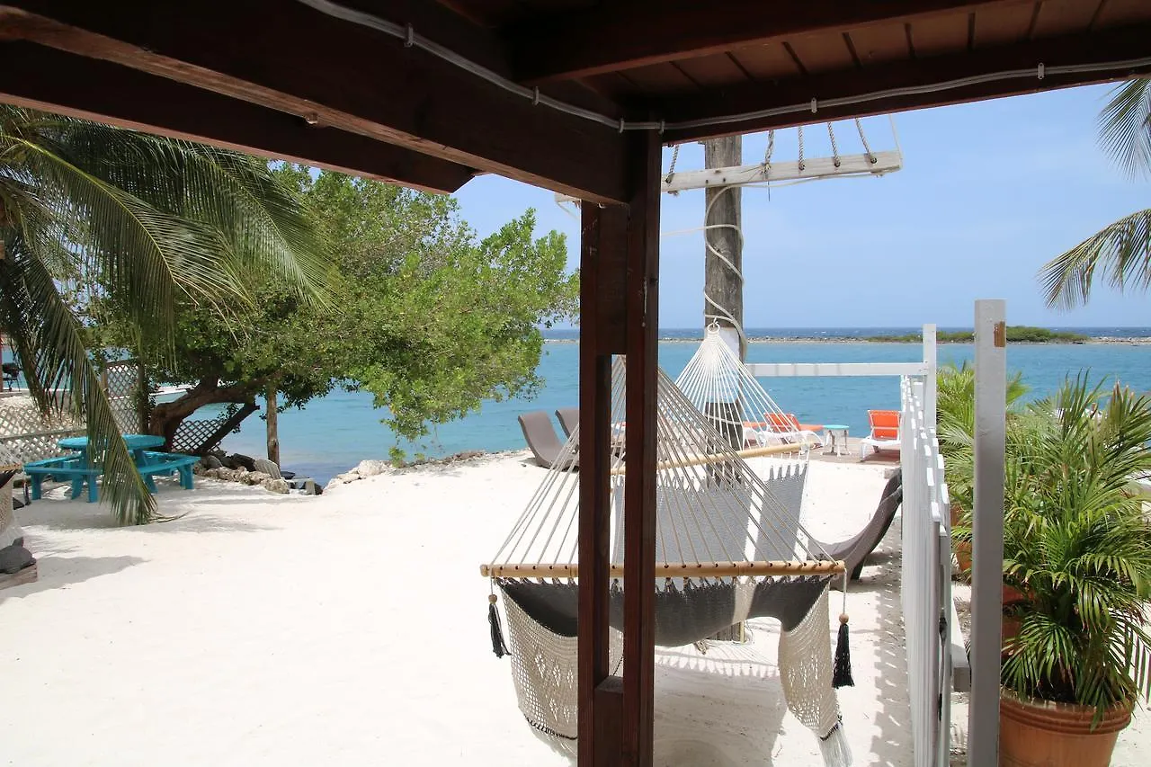 Coral Reef Beach Savaneta Aruba